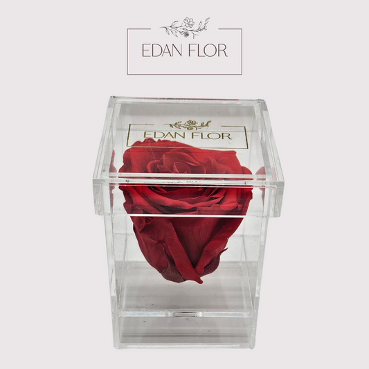 Single Eternal Rose Acrylic Box