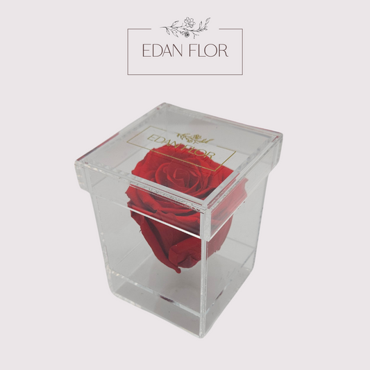 Single Eternal Rose Acrylic Box