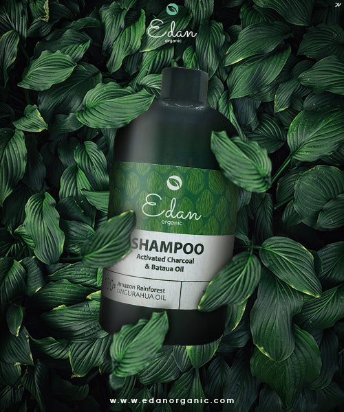 Flyer shampoo